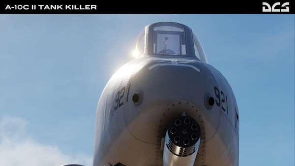 скриншот DCS: A-10C II Warthog 0