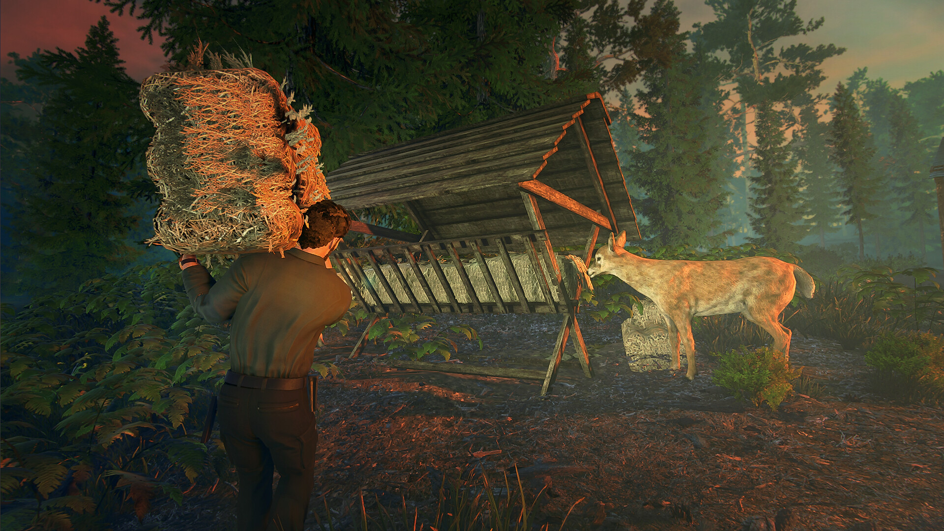 Forester Simulator #5