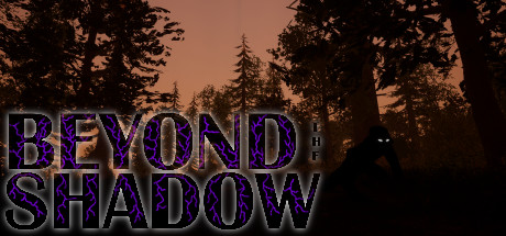 Beyond The Shadow Cover Image