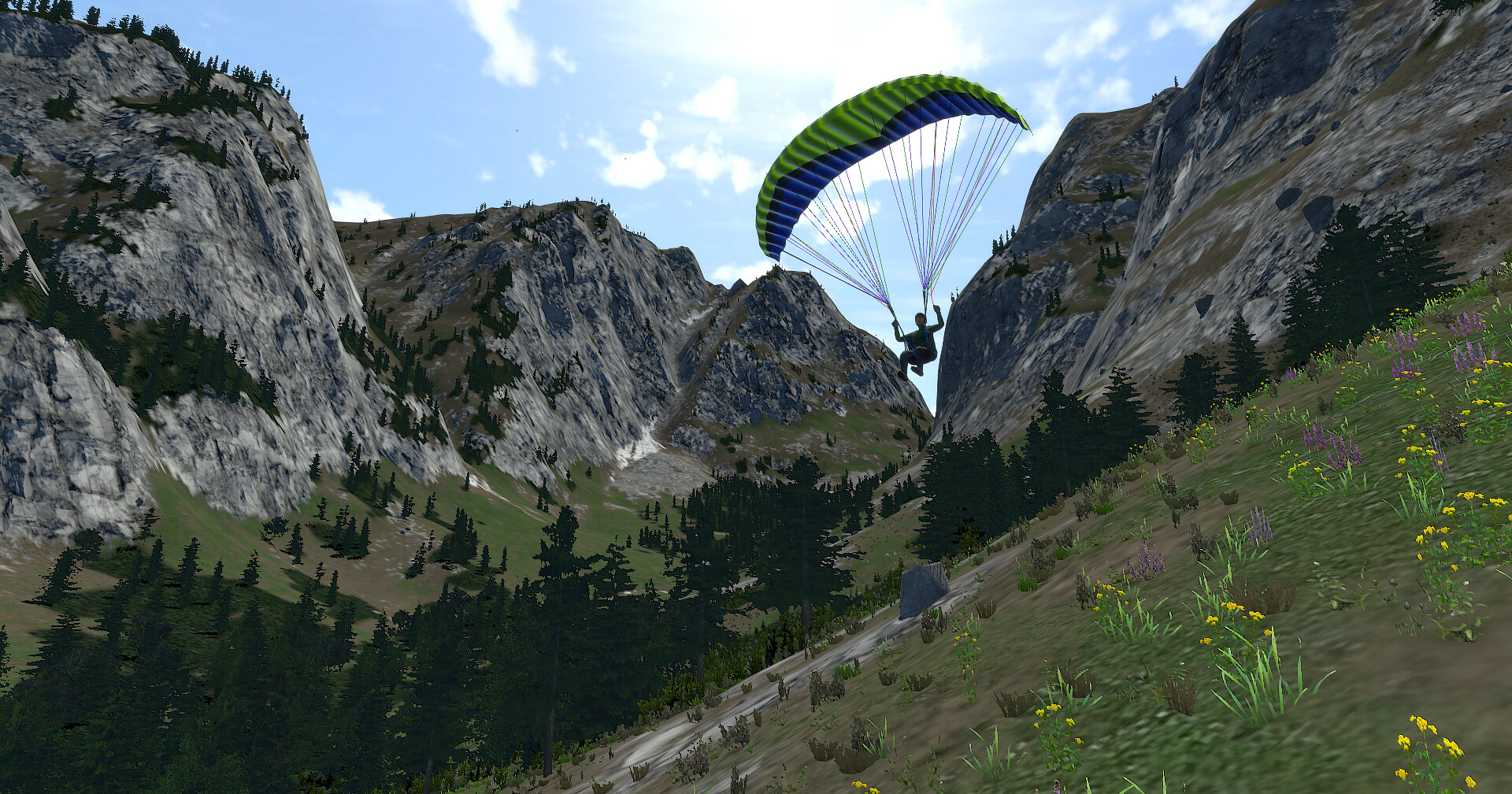 Glider Sim #9