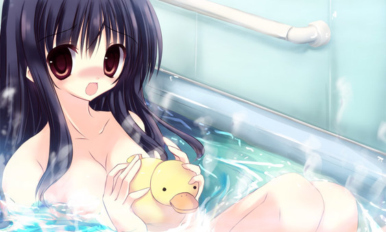 Screenshot of NOeSIS-羽化