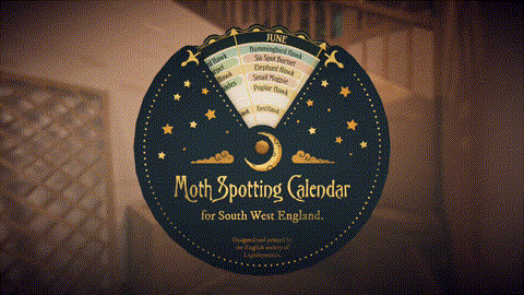 MothCalendar_Steam.gif?t=1712741984