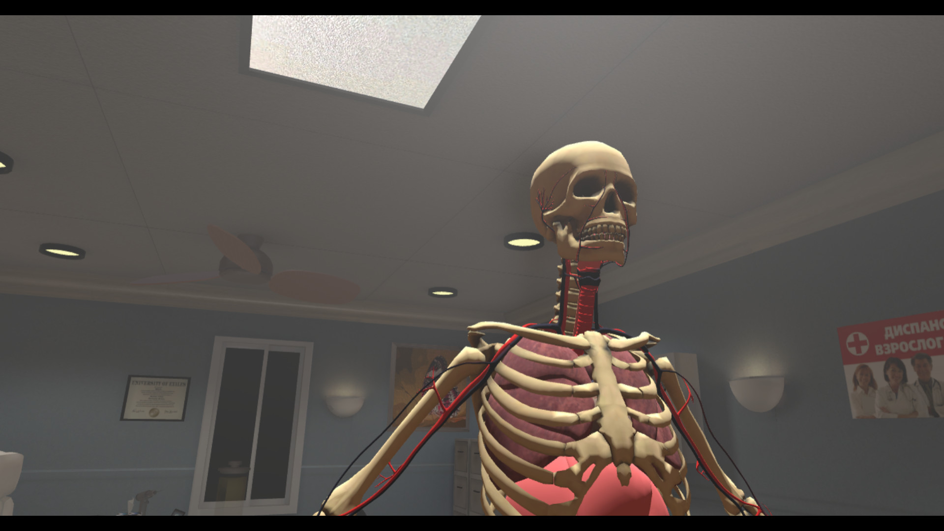 幹VR Human Constructor VR