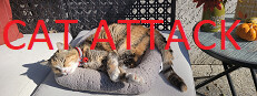 Cat Attack RPG 게임 이미지