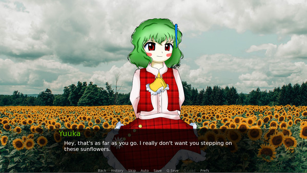 CBT With Yuuka Kazami