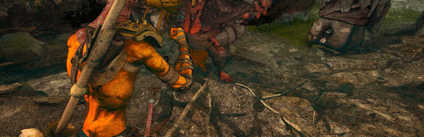 combat_opt.gif