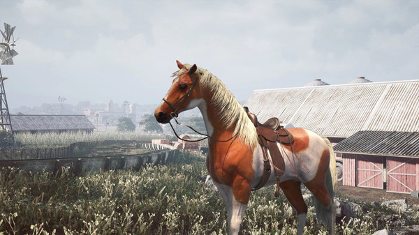 скриншот Horse Shelter 2021 1