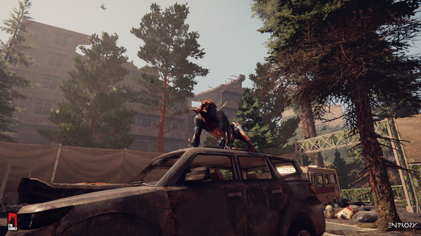 Entropyfor windows and Linux 1