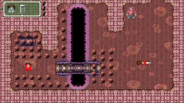 Born Racefor windows and Linux 1