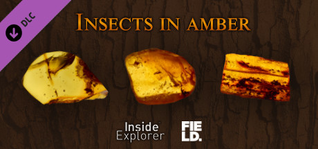 Купить дешево Inside Explorer. Insects in Amber Купить ключ дешево Inside Explorer. Insects in Amber