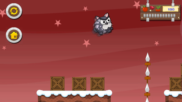 Cats and Food 4: New Year