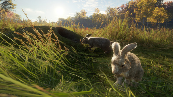 скриншот theHunter: Call of the Wild - Free Species: European Rabbit 3