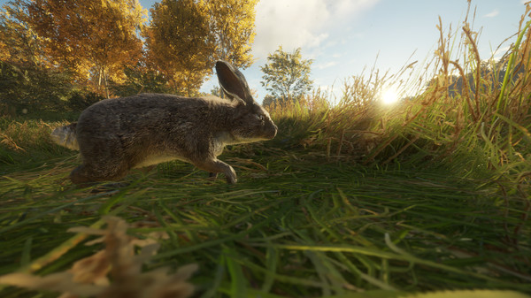 скриншот theHunter: Call of the Wild - Free Species: European Rabbit 2