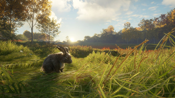 скриншот theHunter: Call of the Wild - Free Species: European Rabbit 4