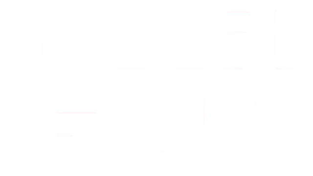 Lawyer Guy: Defender of Justice