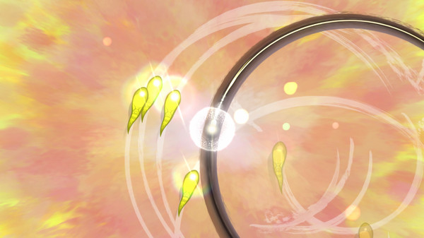 Kansofor windows and Linux 1