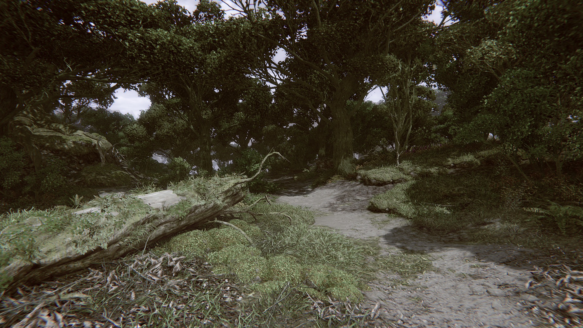 Remote Knights Online #38