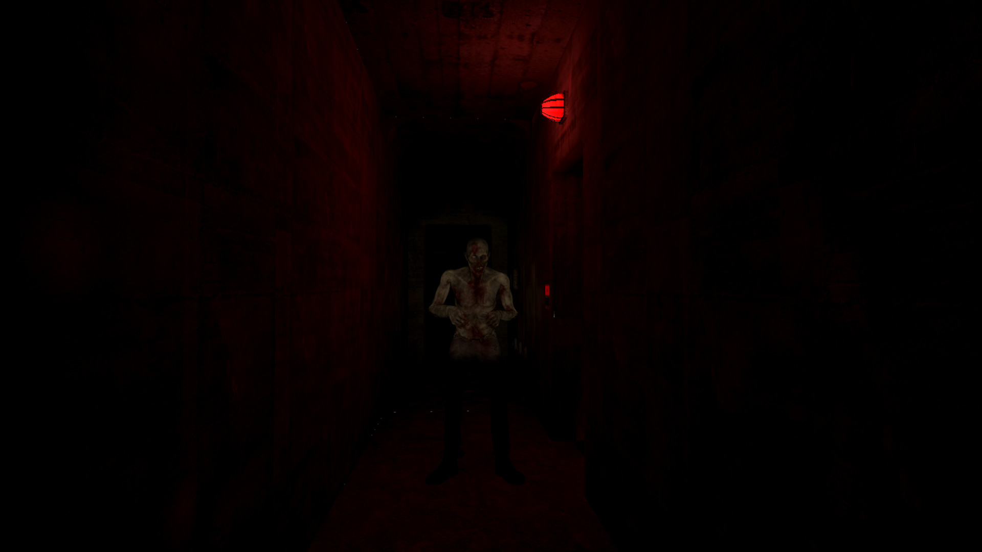 Solicitude Wake-up Demo #0