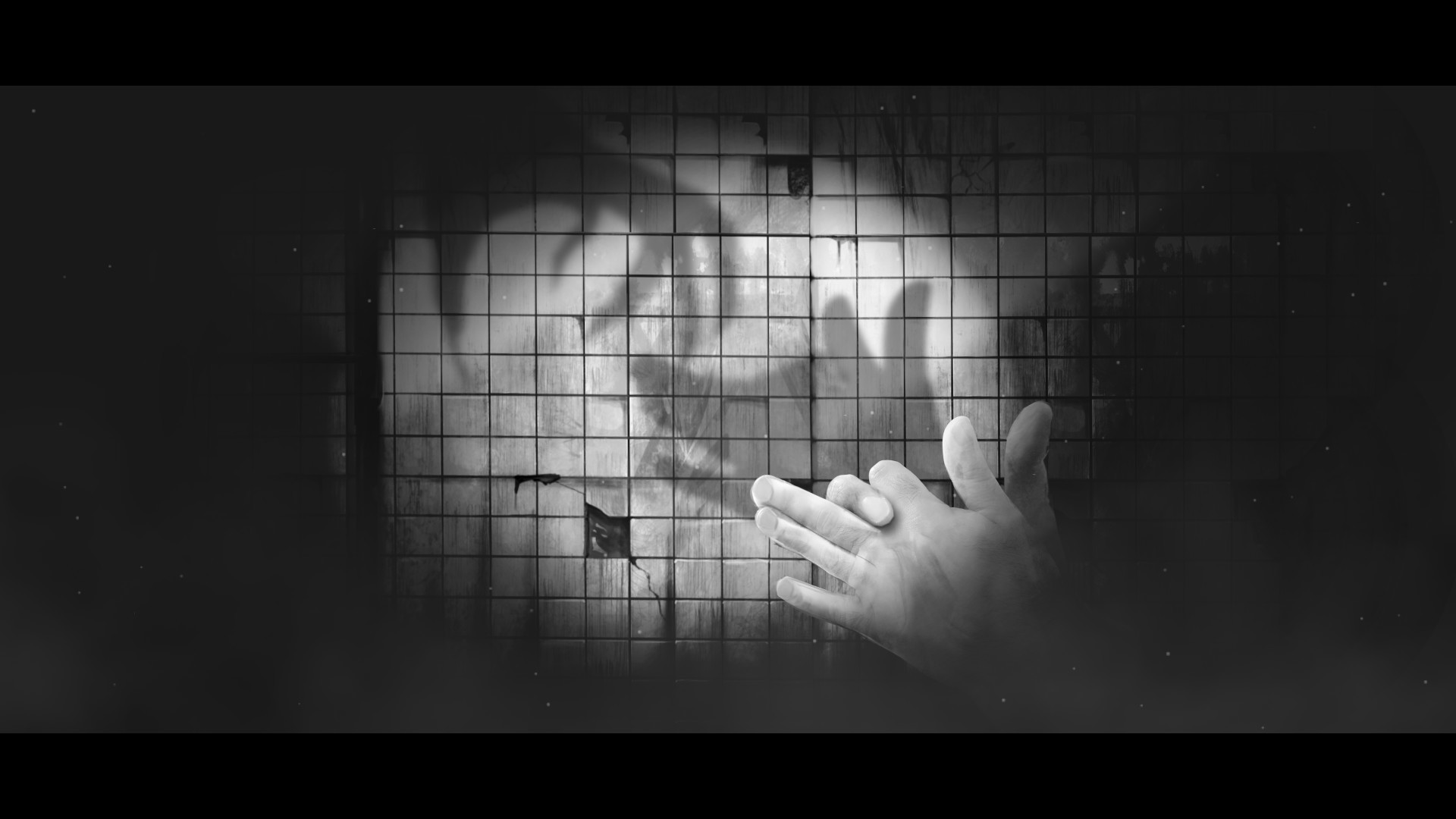 Hand Shadow Soundtrack #3