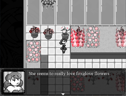 Ms.Directorfor windows and Linux 1