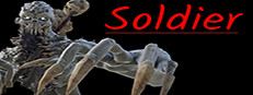 Soldier