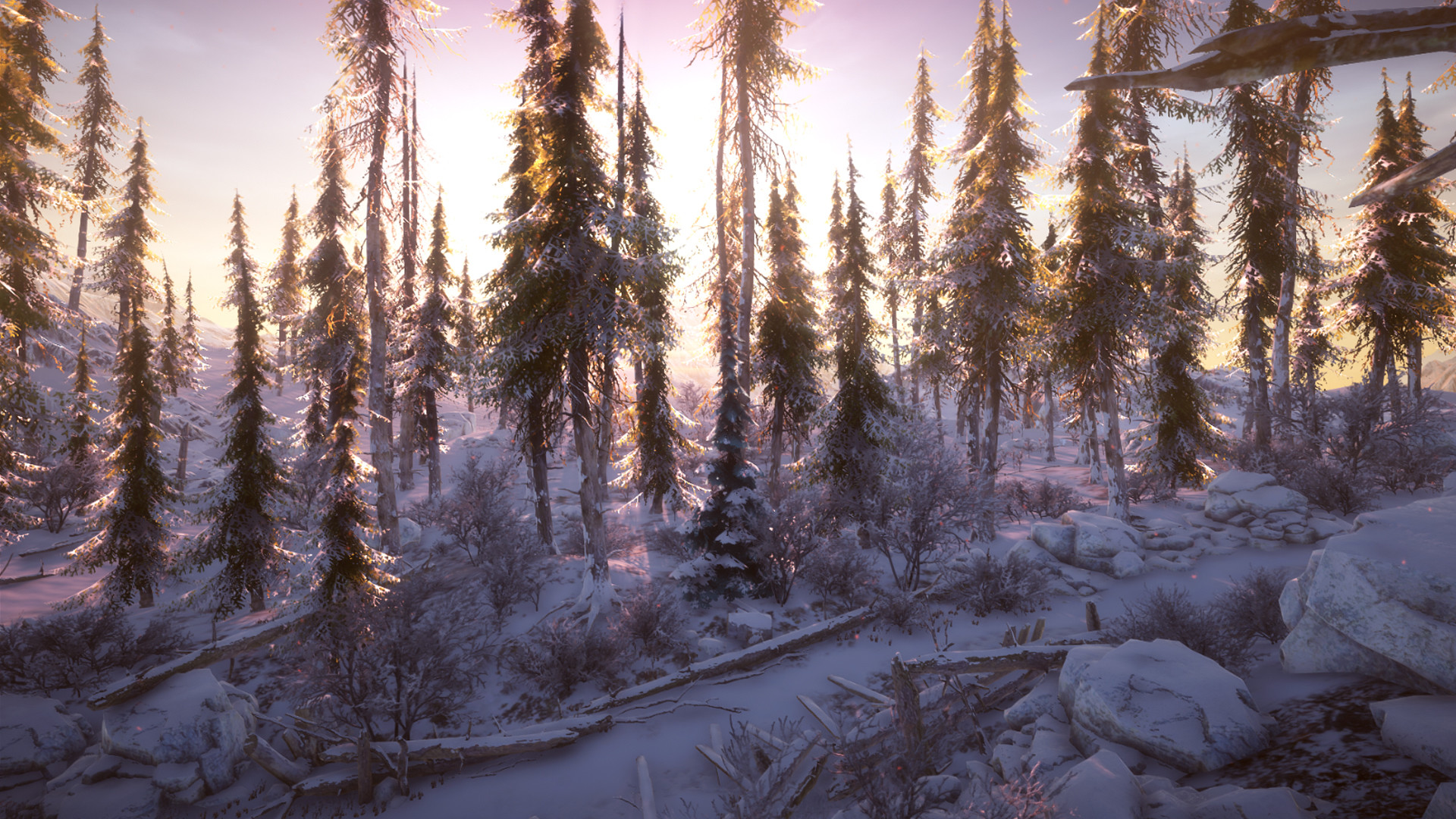 Winter survival simulator стим фото 53