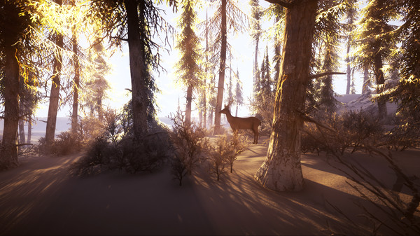 Скриншот из Snow Survival