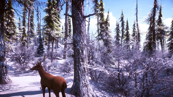 Скриншот из Snow Survival