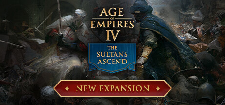 帝国时代4/Age of Empires IV/支持网络联机