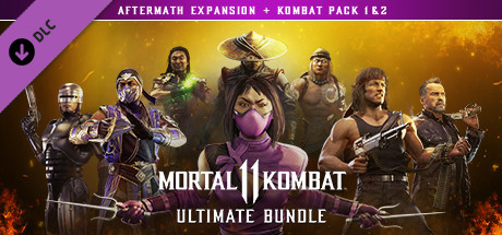 Mortal Kombat 11 (PC) - local multiplayer PvP 