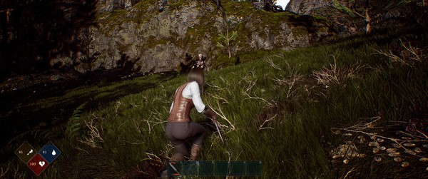 Nova Geneticsfor windows and Linux 1