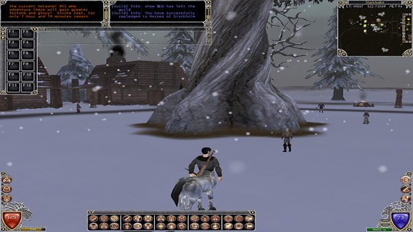 Скриншот из Shadowbane