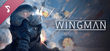 Ace Combat 7 & Project Wingman - Review 