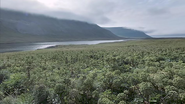 Flow - Calm for clarity