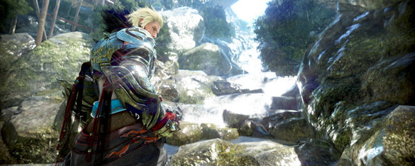Black Desert - Traveler to Explorer Package screenshot 5