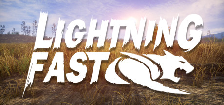 Lightning Fast Cover Image