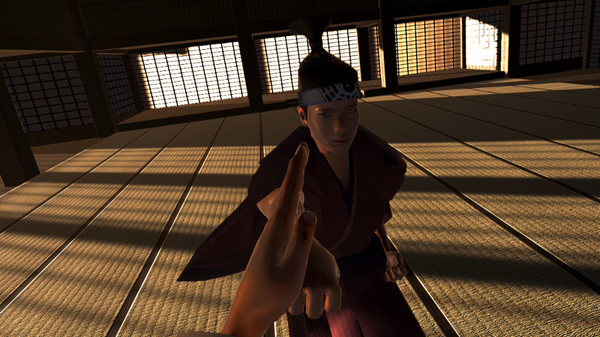 Dragon Fist: VR Kung Fu game for Linux 1