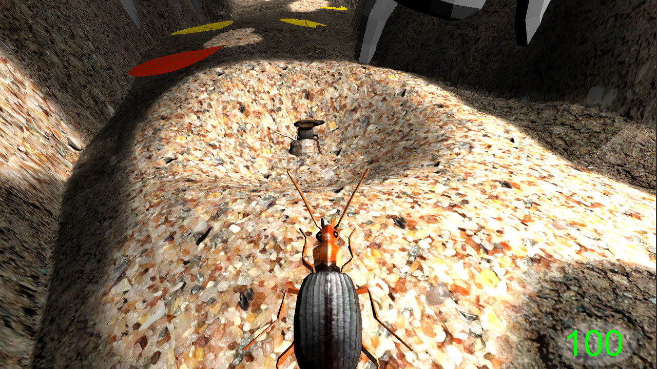 Insect: Bombardier beetle #4