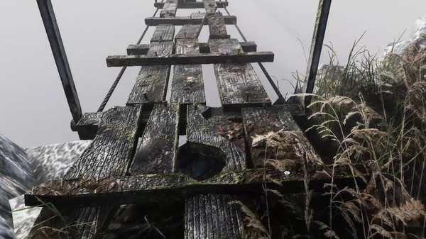 Axe Gangfor windows and Linux 1