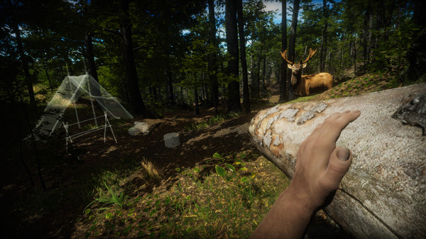 30 Games Like Green Hell Steampeek