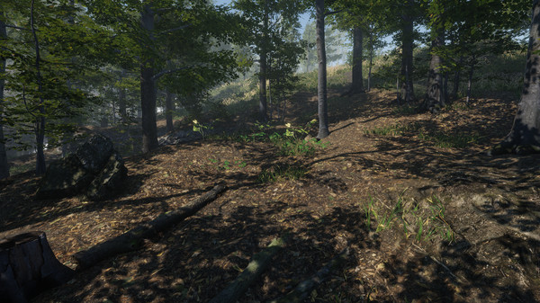 Скриншот из Defense of the Ass