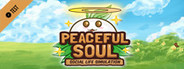 Peaceful Soul Playtest