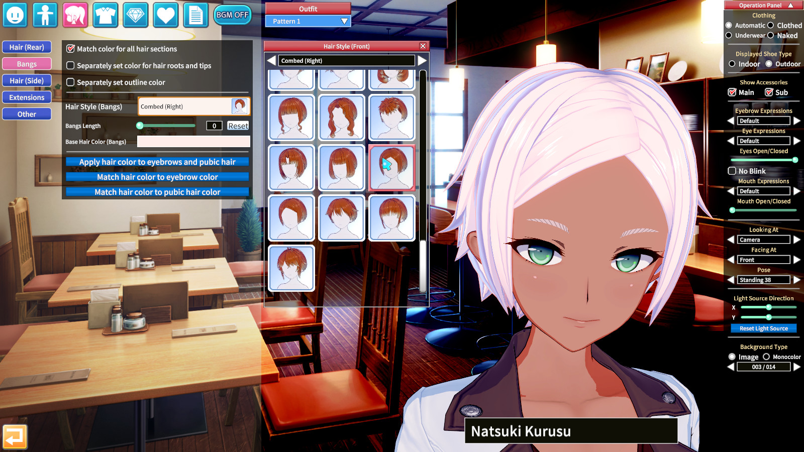 Koikatsu Party After Party Free Download