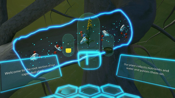 Скриншот из VR Plant Journey