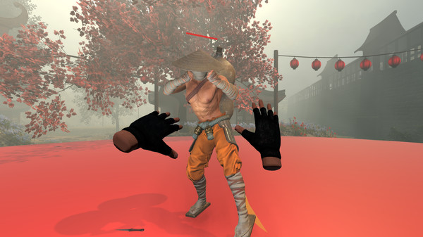 VR Immortal Fight