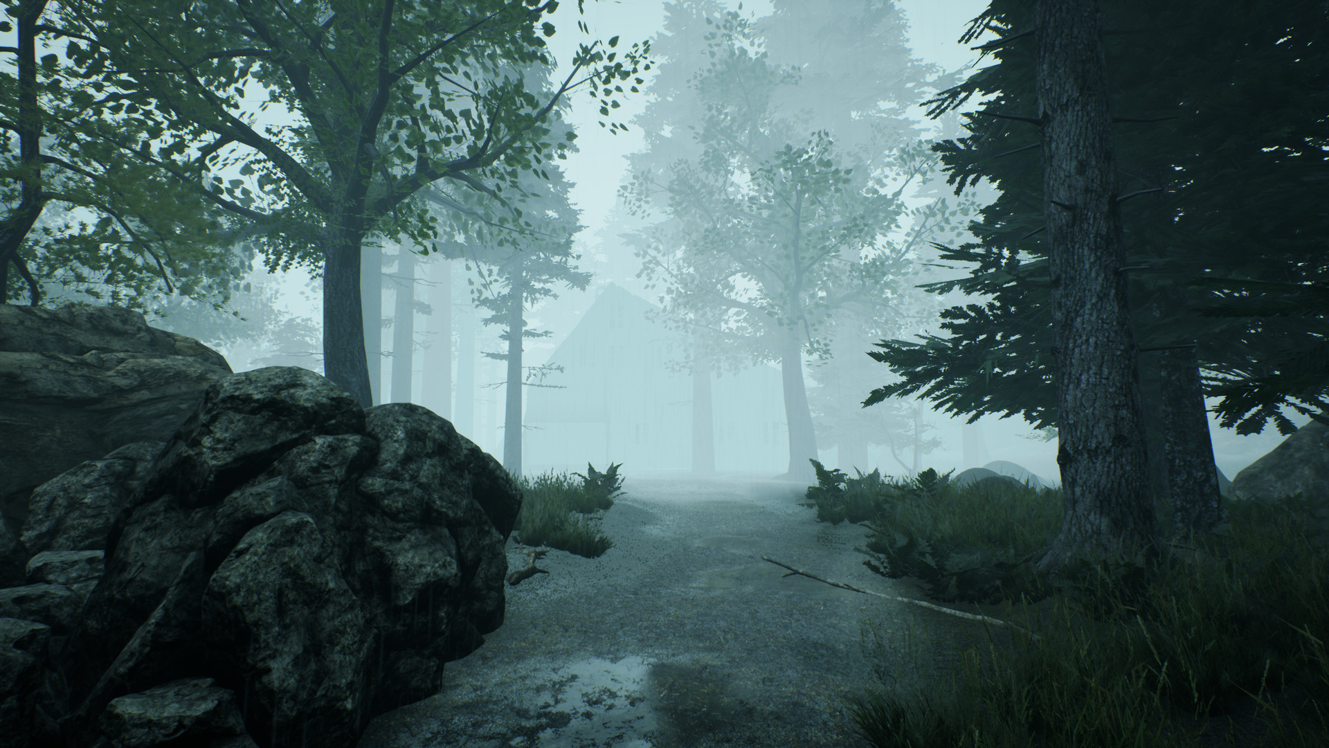 The Picture in The House #9