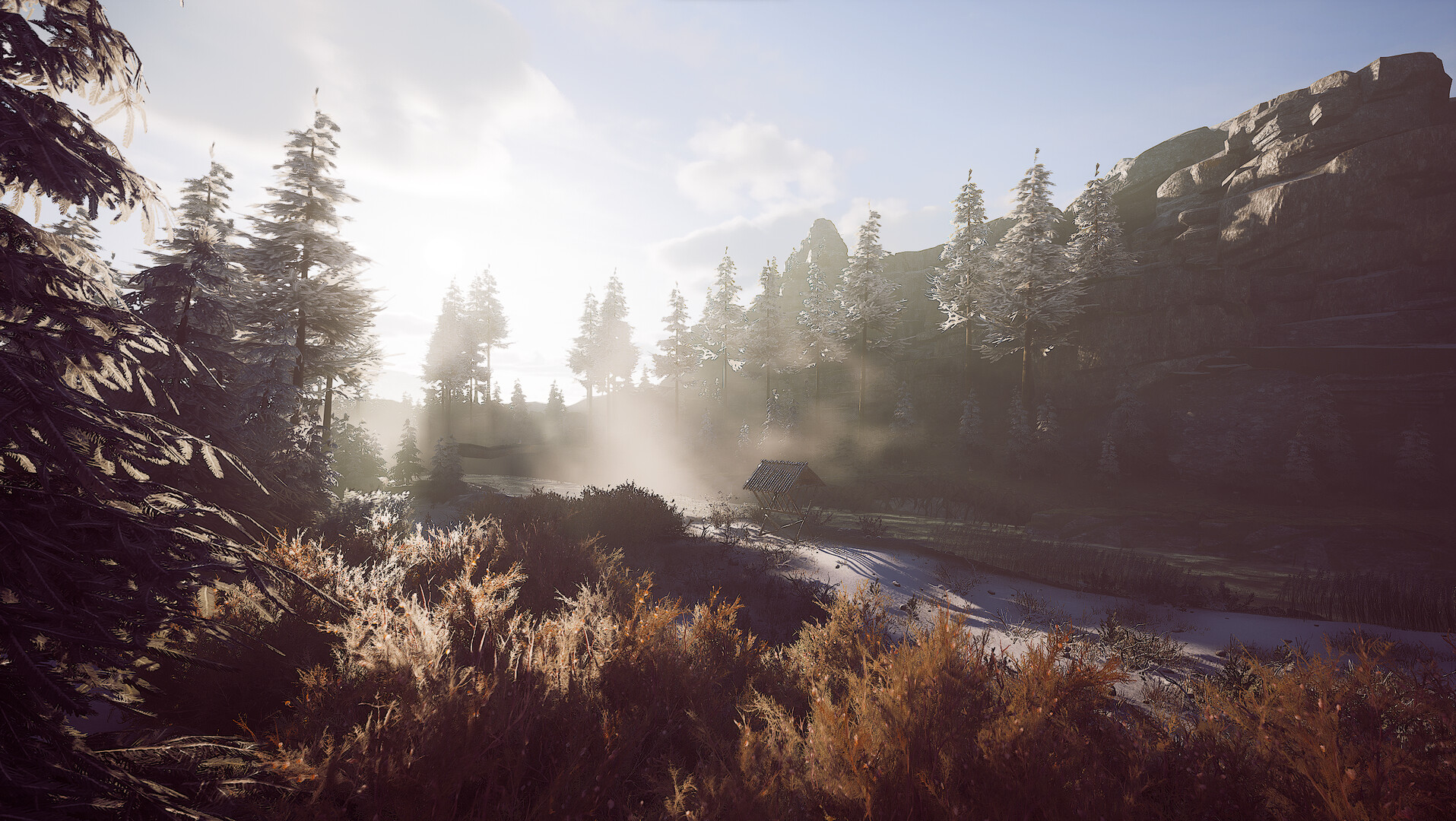 Winter Survival Demo #10