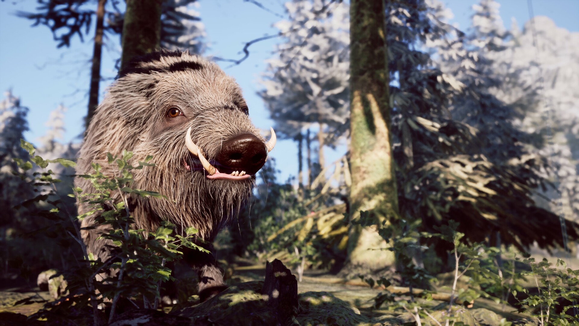 Winter Survival Demo #8