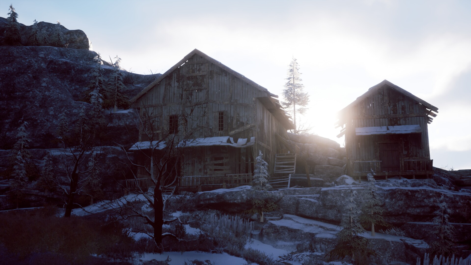 Winter Survival Demo #9