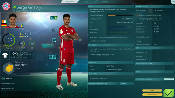 WE ARE FOOTBALL DLC - Edition "Bundesliga" screenshot 9